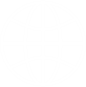 icono IP transit